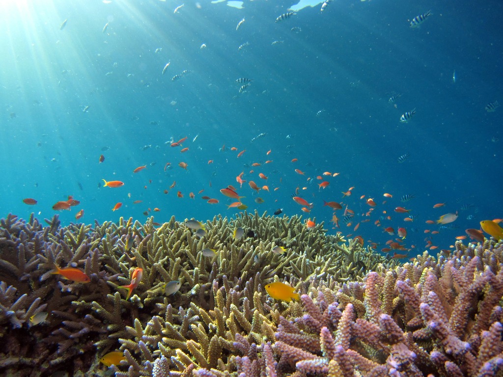 Underwater Marine Robotics Background Cover Image
